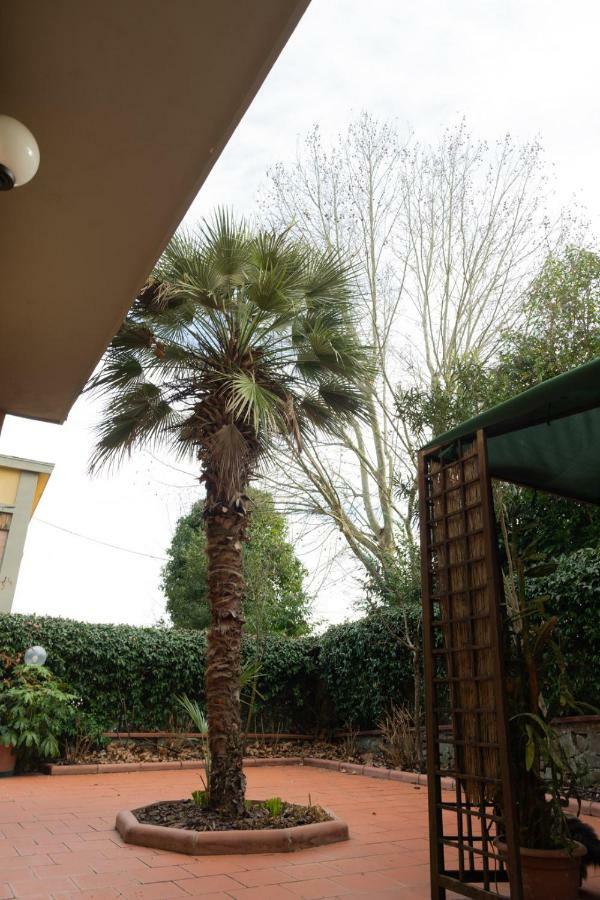 Green Corner In City Firenze