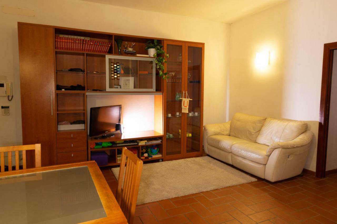 Green Corner In City Apartment